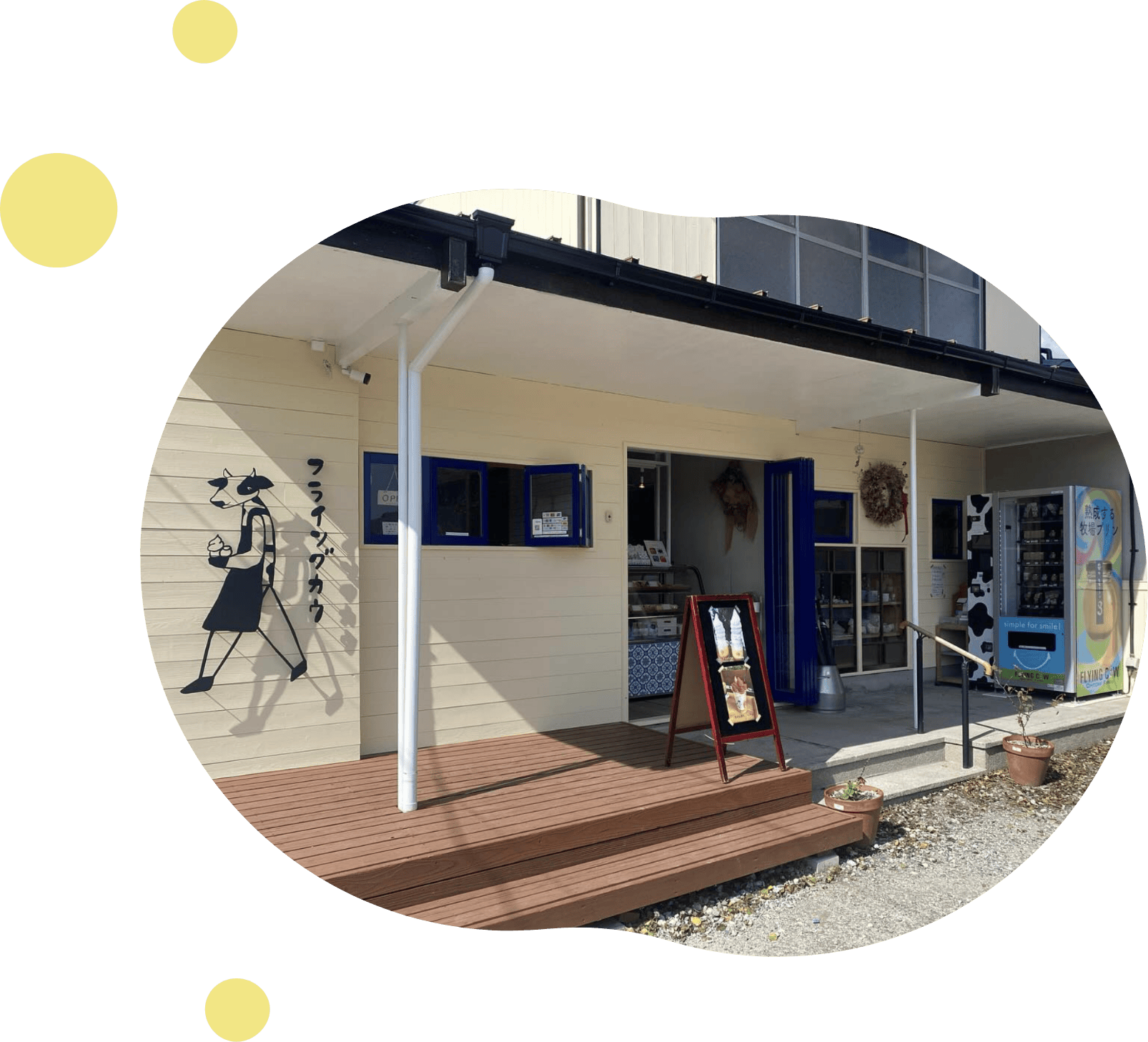 フライングカウ